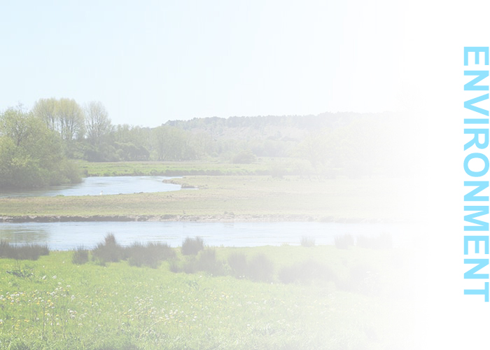 ENVIRONMENT